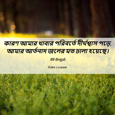 Picture 06 - ইয়োব 3:24 BENIRV - কারণ আমার খাবার - Bible Verse Picture