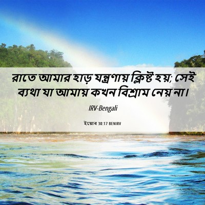 Picture 06 - ইয়োব 30:17 BENIRV - রাতে আমার হাড় - Bible Verse Picture