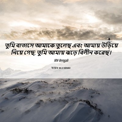 Picture 06 - ইয়োব 30:22 BENIRV - তুমি বাতাসে আমাকে - Bible Verse Picture