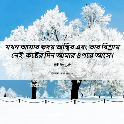 Picture 06 - ইয়োব 30:27 BENIRV - যখন আমার হৃদয় - Bible Verse Picture