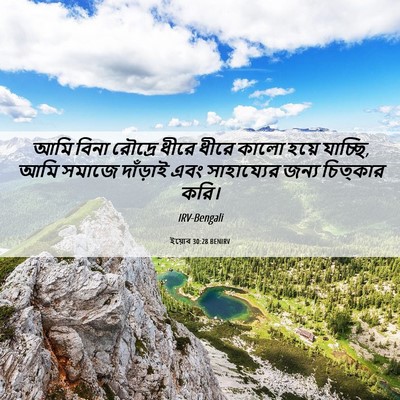Picture 06 - ইয়োব 30:28 BENIRV - আমি বিনা রৌদ্রে - Bible Verse Picture