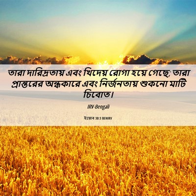 Picture 06 - ইয়োব 30:3 BENIRV - তারা দারিদ্রতায় - Bible Verse Picture