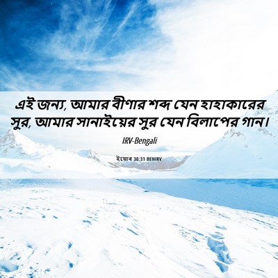 Picture 06 - ইয়োব 30:31 BENIRV - এই জন্য, আমার বীণার - Bible Verse Picture