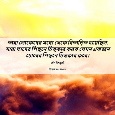 Picture 06 - ইয়োব 30:5 BENIRV - তারা লোকেদের - Bible Verse Picture