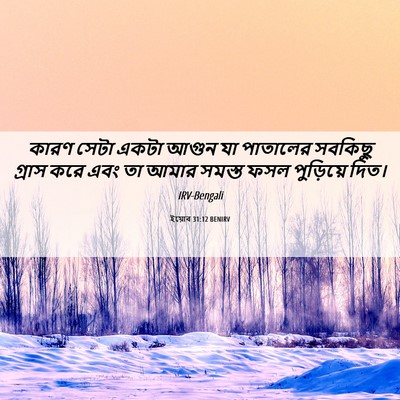 Picture 06 - ইয়োব 31:12 BENIRV - কারণ সেটা একটা - Bible Verse Picture