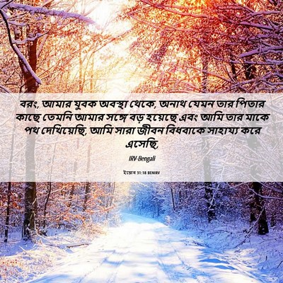 Picture 06 - ইয়োব 31:18 BENIRV - বরং, আমার যুবক - Bible Verse Picture