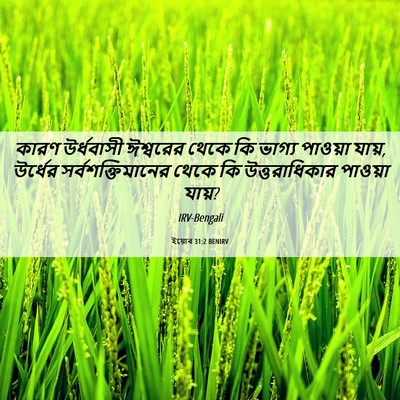 Picture 06 - ইয়োব 31:2 BENIRV - কারণ উর্ধবাসী - Bible Verse Picture