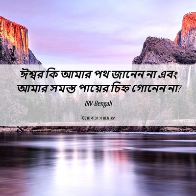Picture 06 - ইয়োব 31:4 BENIRV - ঈশ্বর কি আমার পথ - Bible Verse Picture