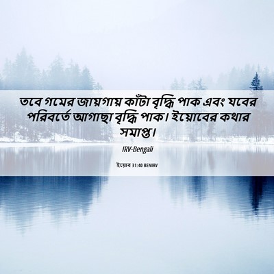 Picture 06 - ইয়োব 31:40 BENIRV - তবে গমের জায়গায় - Bible Verse Picture
