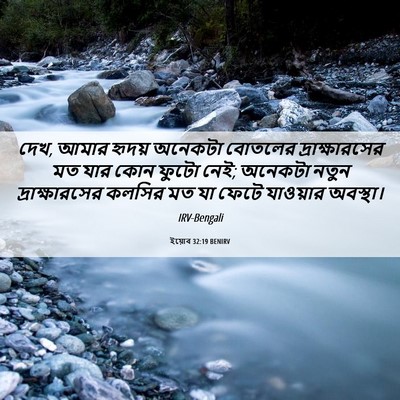 Picture 06 - ইয়োব 32:19 BENIRV - দেখ, আমার হৃদয় - Bible Verse Picture