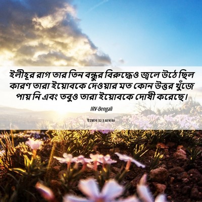 Picture 06 - ইয়োব 32:3 BENIRV - ইলীহূর রাগ তার তিন - Bible Verse Picture