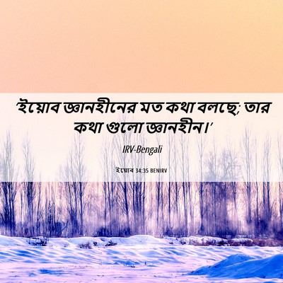 Picture 06 - ইয়োব 34:35 BENIRV - ‘ইয়োব জ্ঞানহীনের - Bible Verse Picture