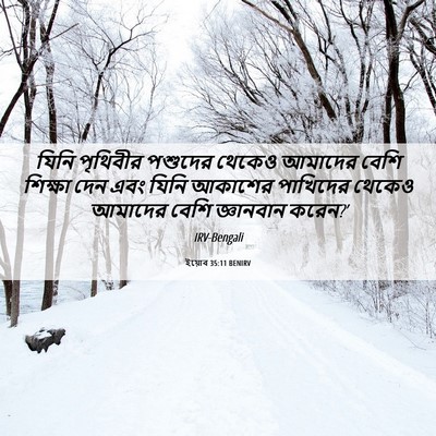 Picture 06 - ইয়োব 35:11 BENIRV - যিনি পৃথিবীর - Bible Verse Picture