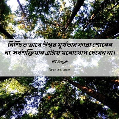 Picture 06 - ইয়োব 35:13 BENIRV - নিশ্চিত ভাবে - Bible Verse Picture