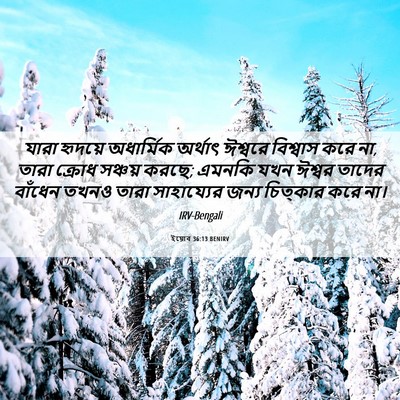 Picture 06 - ইয়োব 36:13 BENIRV - যারা হৃদয়ে - Bible Verse Picture