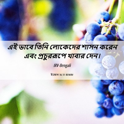 Picture 06 - ইয়োব 36:31 BENIRV - এই ভাবে তিনি - Bible Verse Picture