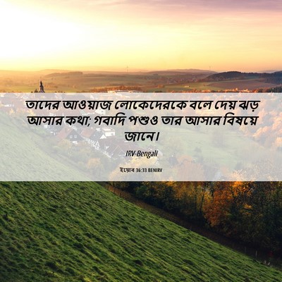 Picture 06 - ইয়োব 36:33 BENIRV - তাদের আওয়াজ - Bible Verse Picture