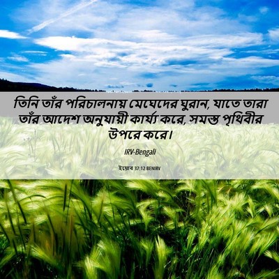 Picture 06 - ইয়োব 37:12 BENIRV - তিনি তাঁর - Bible Verse Picture
