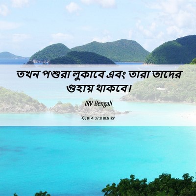 Picture 06 - ইয়োব 37:8 BENIRV - তখন পশুরা লুকাবে - Bible Verse Picture