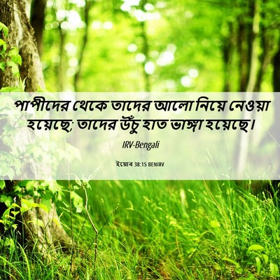 Picture 06 - ইয়োব 38:15 BENIRV - পাপীদের থেকে - Bible Verse Picture