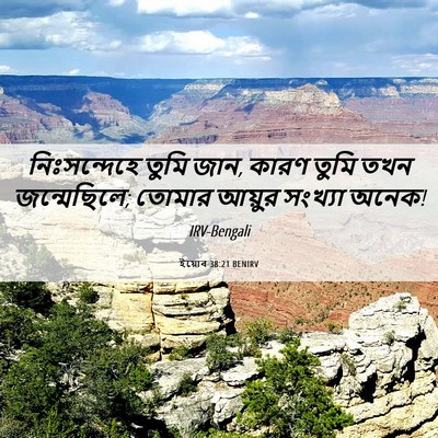 Picture 06 - ইয়োব 38:21 BENIRV - নিঃসন্দেহে তুমি - Bible Verse Picture