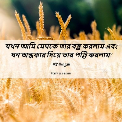 Picture 06 - ইয়োব 38:9 BENIRV - যখন আমি মেঘকে তার - Bible Verse Picture