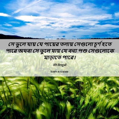 Picture 06 - ইয়োব 39:15 BENIRV - সে ভুলে যায় যে - Bible Verse Picture