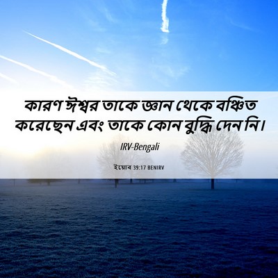 Picture 06 - ইয়োব 39:17 BENIRV - কারণ ঈশ্বর তাকে - Bible Verse Picture