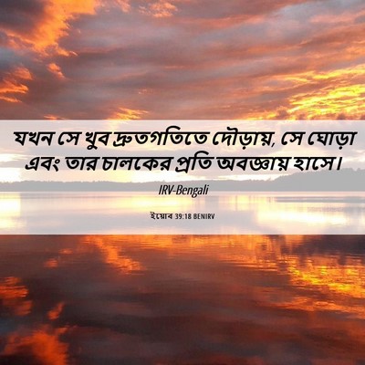 Picture 06 - ইয়োব 39:18 BENIRV - যখন সে খুব - Bible Verse Picture