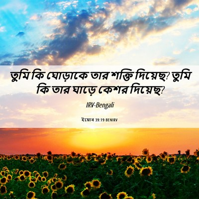 Picture 06 - ইয়োব 39:19 BENIRV - তুমি কি ঘোড়াকে - Bible Verse Picture