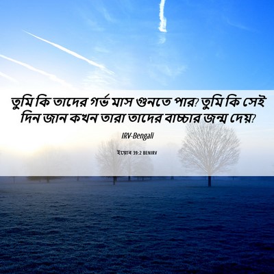 Picture 06 - ইয়োব 39:2 BENIRV - তুমি কি তাদের গর্ভ - Bible Verse Picture