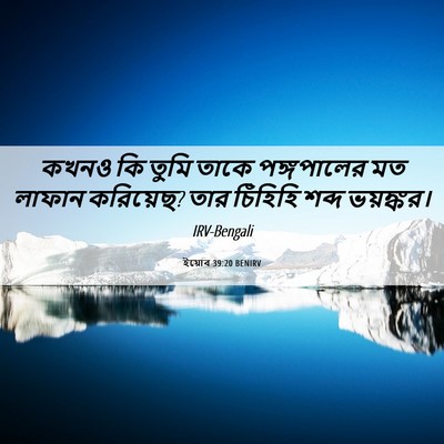 Picture 06 - ইয়োব 39:20 BENIRV - কখনও কি তুমি তাকে - Bible Verse Picture