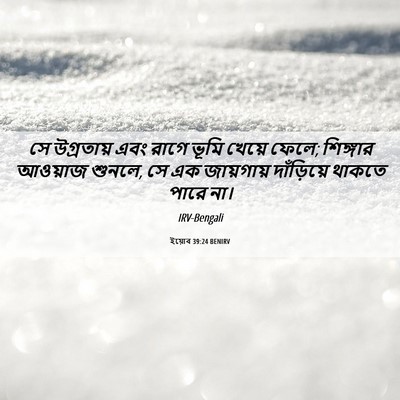 Picture 06 - ইয়োব 39:24 BENIRV - সে উগ্রতায় এবং - Bible Verse Picture