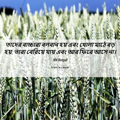Picture 06 - ইয়োব 39:4 BENIRV - তাদের বাচ্চারা - Bible Verse Picture