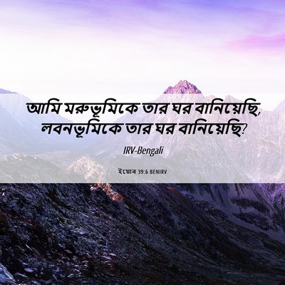 Picture 06 - ইয়োব 39:6 BENIRV - আমি মরুভূমিকে তার - Bible Verse Picture