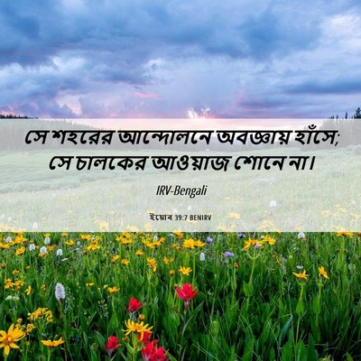 Picture 06 - ইয়োব 39:7 BENIRV - সে শহরের আন্দোলনে - Bible Verse Picture