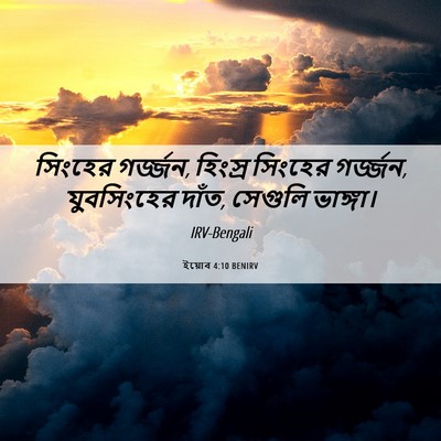 Picture 06 - ইয়োব 4:10 BENIRV - সিংহের গর্জ্জন, - Bible Verse Picture