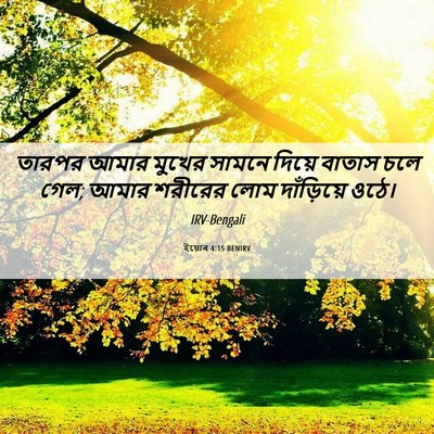 Picture 06 - ইয়োব 4:15 BENIRV - তারপর আমার মুখের - Bible Verse Picture