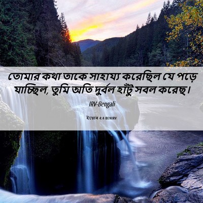 Picture 06 - ইয়োব 4:4 BENIRV - তোমার কথা তাকে - Bible Verse Picture