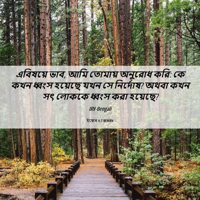 Picture 06 - ইয়োব 4:7 BENIRV - এবিষয়ে ভাব, আমি - Bible Verse Picture