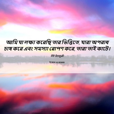 Picture 06 - ইয়োব 4:8 BENIRV - আমি যা লক্ষ্য - Bible Verse Picture