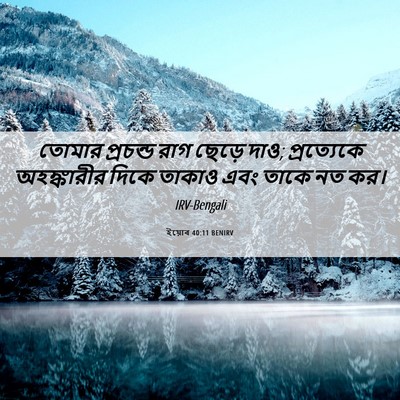 Picture 06 - ইয়োব 40:11 BENIRV - তোমার প্রচন্ড রাগ - Bible Verse Picture