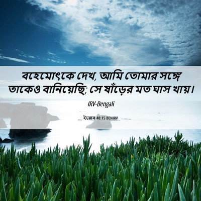 Picture 06 - ইয়োব 40:15 BENIRV - বহেমোৎকে দেখ, আমি - Bible Verse Picture