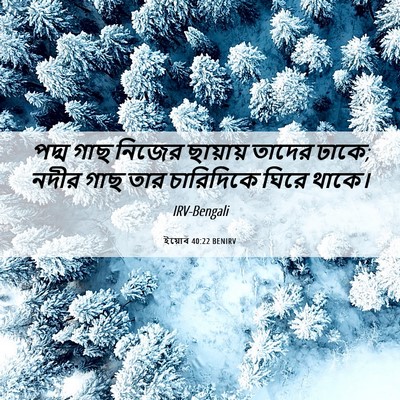 Picture 06 - ইয়োব 40:22 BENIRV - পদ্ম গাছ নিজের - Bible Verse Picture