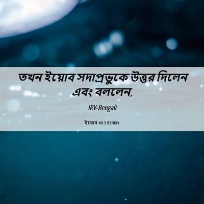 Picture 06 - ইয়োব 40:3 BENIRV - তখন ইয়োব - Bible Verse Picture