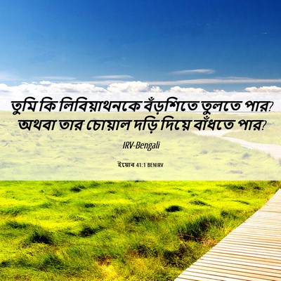 Picture 06 - ইয়োব 41:1 BENIRV - তুমি কি - Bible Verse Picture