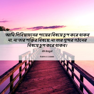 Picture 06 - ইয়োব 41:12 BENIRV - আমি লিবিয়াথনের - Bible Verse Picture