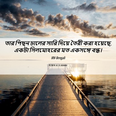 Picture 06 - ইয়োব 41:15 BENIRV - তার পিছন ঢালের - Bible Verse Picture