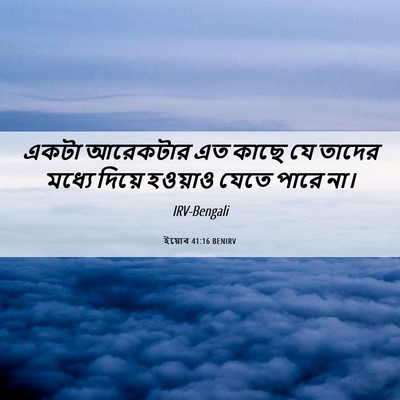 Picture 06 - ইয়োব 41:16 BENIRV - একটা আরেকটার এত - Bible Verse Picture