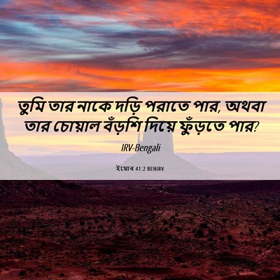 Picture 06 - ইয়োব 41:2 BENIRV - তুমি তার নাকে দড়ি - Bible Verse Picture